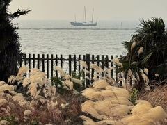 -苏州太湖国家湿地公园