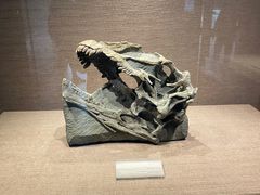 -自贡恐龙博物馆