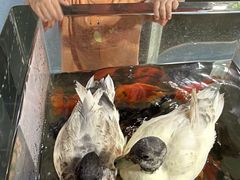 -上海大自然野生昆虫馆(东方明珠·爬宠昆虫探索中心)