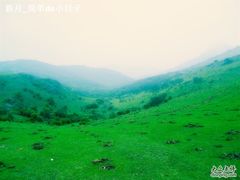 -大姆山草场