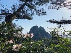 -黄山风景区