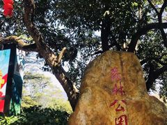 -广州市石门国家森林公园