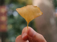 -西园寺素食(西园弄戒幢律寺店)