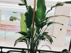 -旺顺阁鱼头泡饼(常营店)