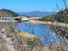 -广州市流溪河国家森林公园