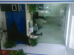 android_upload_pic-中国建设银行(南昌恒茂华城支行)