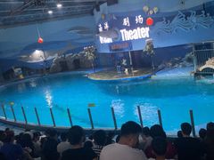 -苏州海洋馆