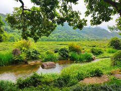 -中国茶叶博物馆(双峰馆区)