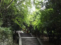 -武当山风景区-太子坡