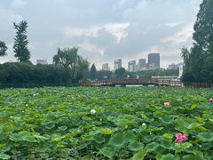 -黄兴公园