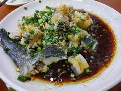-全乐鱼馆·淳牌有机鱼直营店
