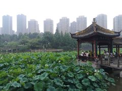 -龙头寺公园