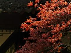 -上海醉白池公园