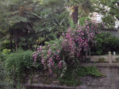 iphone_upload_pic-兰溪青年公园
