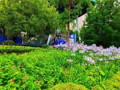 -北外滩滨江绿地