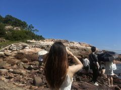 -广东惠东海龟国家级自然保护区