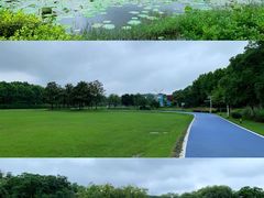 -宜兴龙背山森林公园