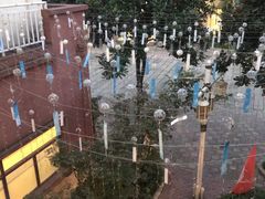 -重庆南山海昌汤都