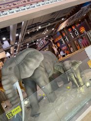-鲁比猴非洲探索部落(喜盈门店)