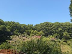 -云溪植物园