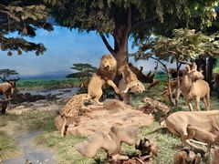 -国家自然博物馆