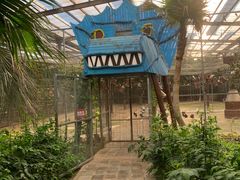 -呀路古热带植物园
