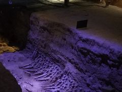 -汉景帝阳陵博物院