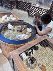 -酷嗒动物文化乐园(cutezoo西溪乐天城店)