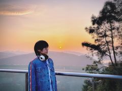 -铁山坪森林公园