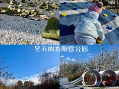 -太阳宫公园
