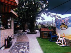 -柴犬高等学院·狗咖·柴犬售卖·宠物训练