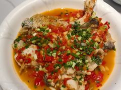 -全乐鱼馆·淳牌有机鱼直营店