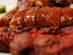 -千灯盛汇·头牌粤菜(致越优城店)