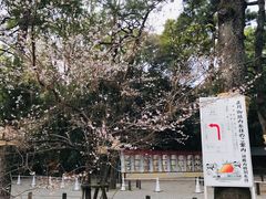 -热田神宫