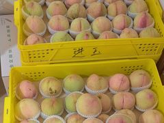 -老袁家蜜桃农场·阳山水蜜桃