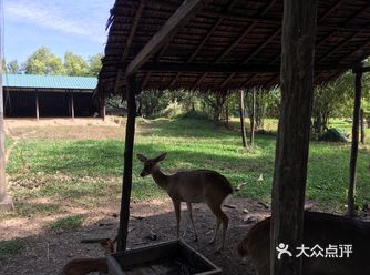可以行走着逛也可以租车，租车也不贵