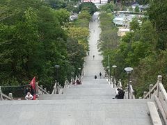 -红花山公园