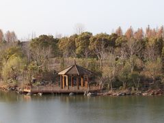 -上海怡沁园度假酒店