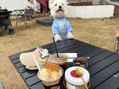 -J Create城市露营咖啡·简餐·宠物(上海动物园店)