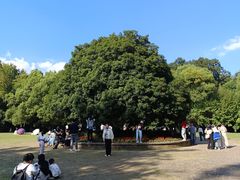 -灵谷景区