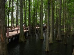 -东湖落雁景区