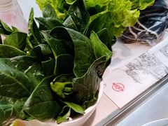 -胖锅轩(水塔店)