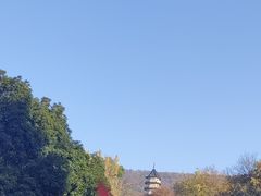 -灵谷景区