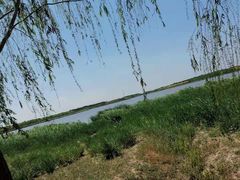 -西青郊野公园