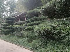 -南山植物园