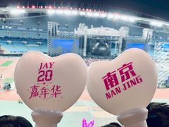 -南京奥林匹克体育中心-体育馆
