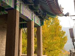 -崂山仰口游览区