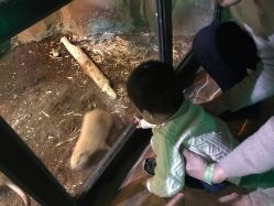 -酷嗒动物文化乐园(cutezoo西溪乐天城店)