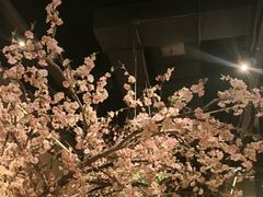 -绿茶餐厅(千岛湖银泰城店)