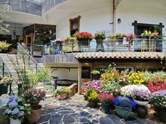 -乡村小榭饭店